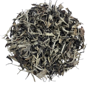 Bạch Trà Cổ Thụ Thượng Hạng
